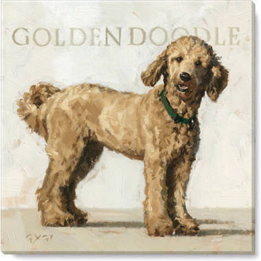 Goldendoodle items sales